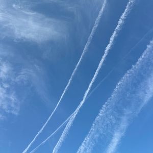 Meet your Posher, Ross